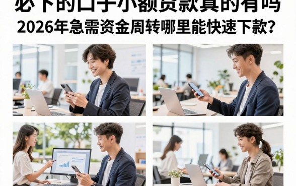 必下的口子小额贷款真的有吗,2026年急需资金周转哪里能快速下款?