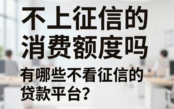 不上征信的消费额度吗，有哪些不看征信的贷款平台