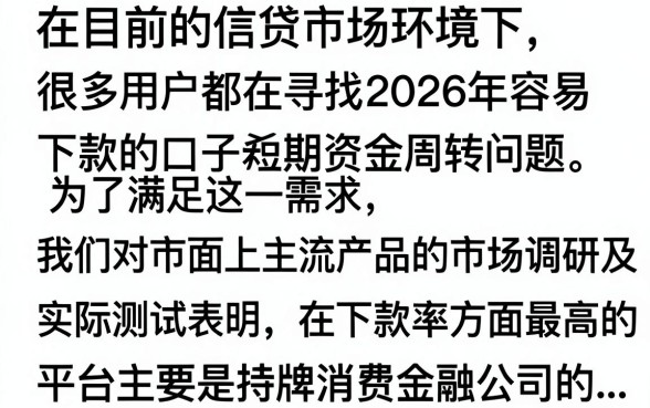 2026下款容易的口子有哪些，盘点2026年下款率高的贷款平台