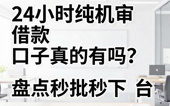 24小时纯机审借款口子真的有吗？盘点秒批秒下的平台