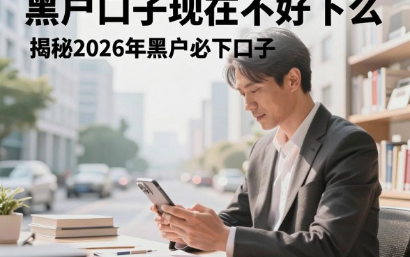 黑户口子现在不好下么,揭秘2026年黑户必下口子有哪些