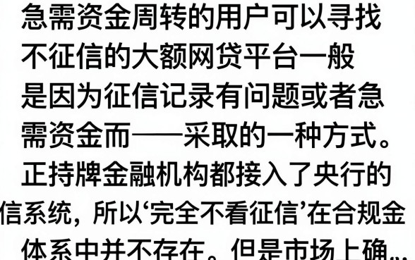 不看征信大额网贷的平台有哪些?哪里能借到大额资金?