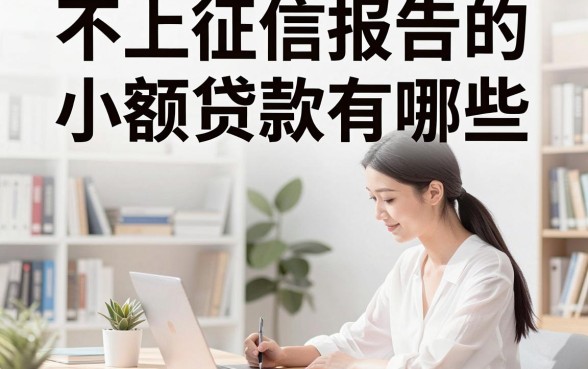 不上征信报告的小额贷款有哪些，盘点真实靠谱的借款平台