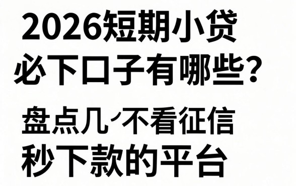 2026短期小贷必下口子有哪些？盘点几个不看征信秒下款的平台