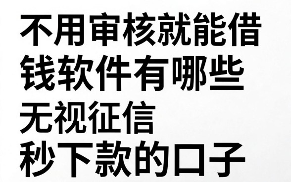 不用审核就能借钱的软件有哪些,盘点十个无视征信秒下款的口子