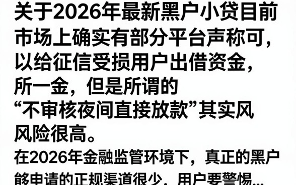 2026最新黑户小贷有哪些？征信花户哪里能借到钱