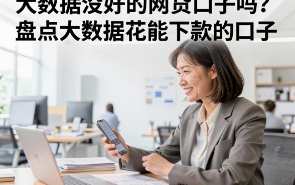 大数据没好的网贷口子吗?盘点大数据花能下款的口子