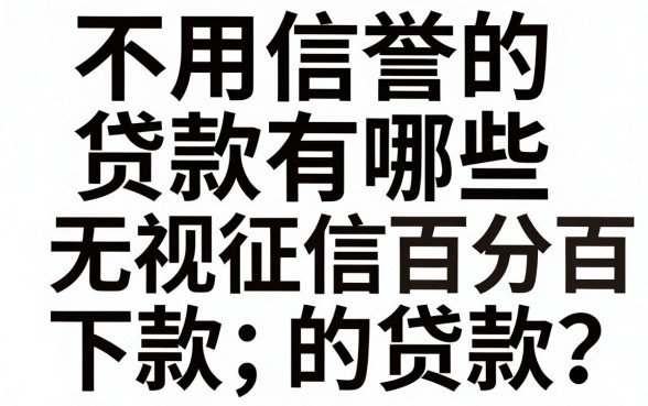 不用信誉的贷款有哪些,无视征信百分百下款的贷款