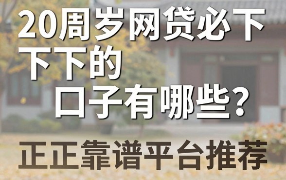 20周岁网贷必下的口子有哪些？正规靠谱平台推荐