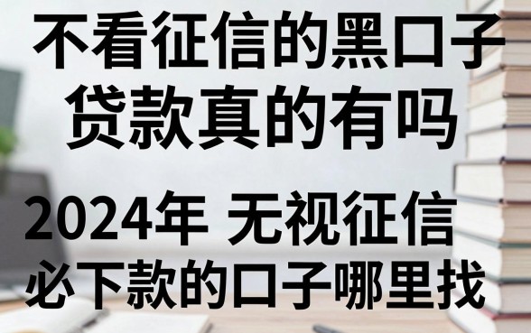 不看征信的黑口子贷款真的有吗,2024年无视征信必下款的口子哪里找