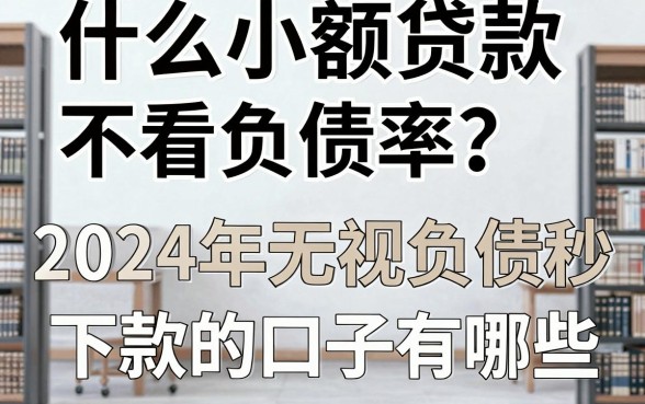 什么小额贷款不看负债率？2024年无视负债秒下款的口子有哪些