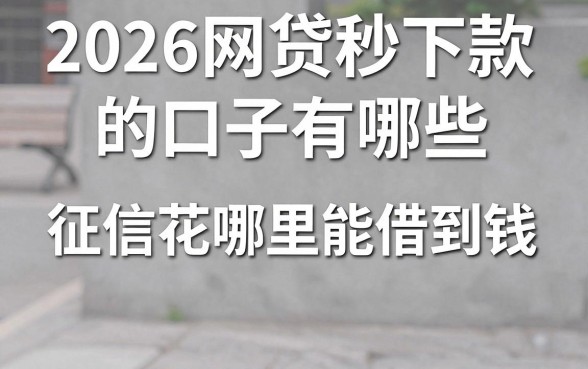 2026网贷秒下款的口子有哪些，征信花哪里能借到钱