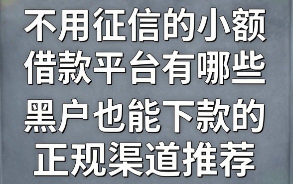不用征信的小额借款平台有哪些，黑户也能下款的正规渠道推荐