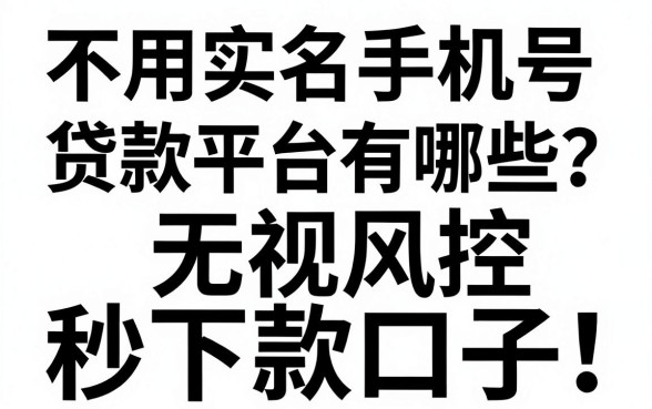 不用实名手机号贷款平台有哪些？盘点无视风控秒下款口子