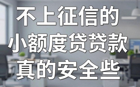 不上征信的小额度贷款有哪些，不上征信的小额度贷款真的安全吗