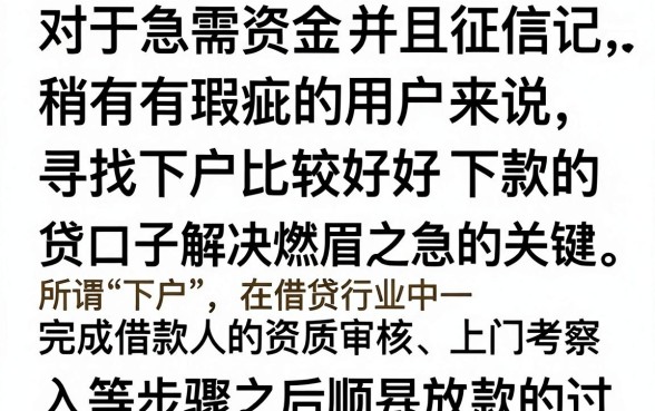下户比较好下款的小贷口子有哪些,征信花哪里能借到钱