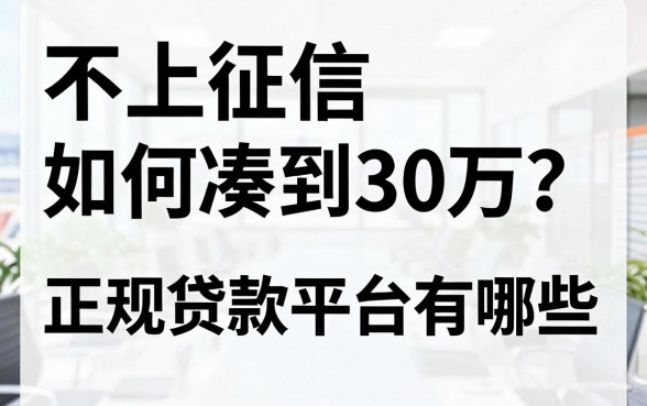 不上征信如何凑到30万?正规贷款平台有哪些