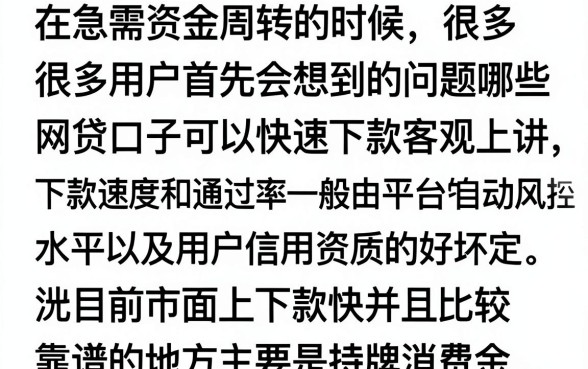 什么网贷口子好下款的快，2024年最新容易通过的网贷有哪些？