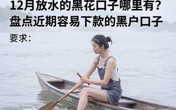 12月放水的黑花口子哪里有？盘点近期容易下款的黑户口子