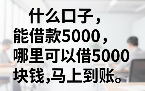 什么口子能借款5000，哪里可以借5000块钱马上到账