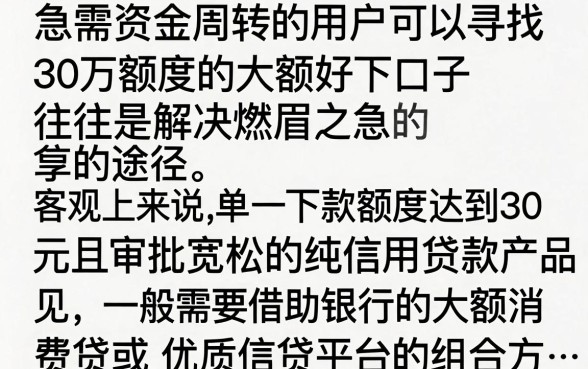 30万额度大额好下的口子有哪些？正规平台容易下款吗