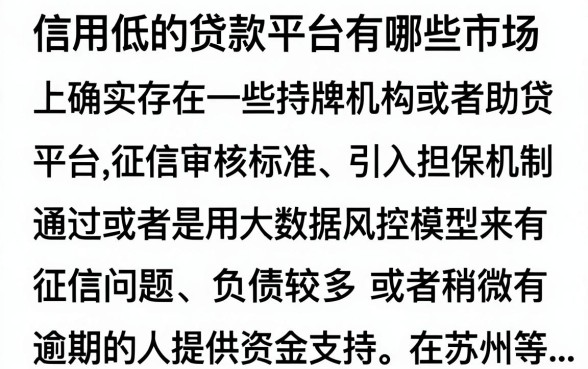 信用低的贷款平台有哪些？盘点2024年容易下款的网贷口子