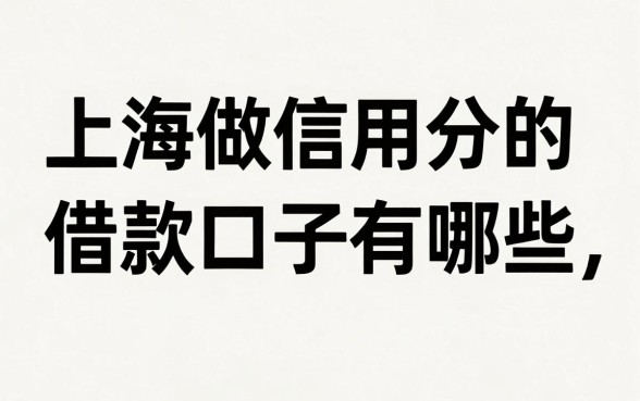 上海做信用分的借款口子有哪些,信用分低哪里能借到钱