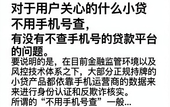 什么小贷不用手机号查，有没有不查手机号的贷款平台