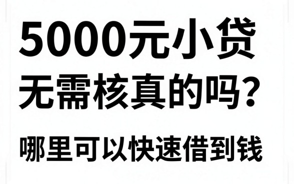 5000元小贷无需审核真的吗?哪里可以快速借到钱?