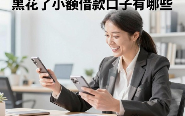 黑花了小额借款口子有哪些，征信黑户哪里能借到钱？