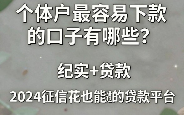个体户最容易下款的口子有哪些？2024征信花也能通过的贷款平台