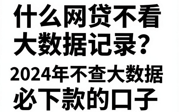 什么网贷不看大数据记录？2024年不查大数据必下款的口子
