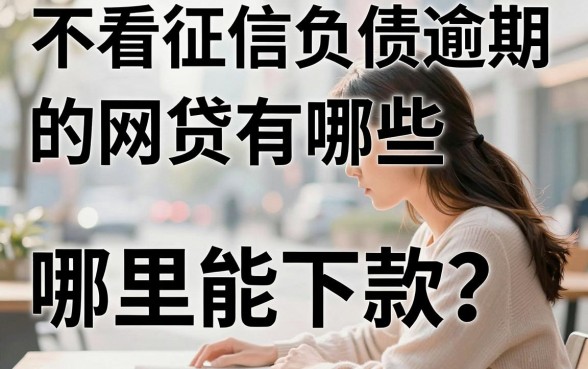 不看征信负债逾期的网贷有哪些，哪里能下款？