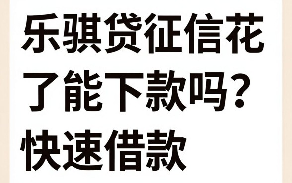 乐骐贷征信花了能下款吗？征信花户如何快速借款通过