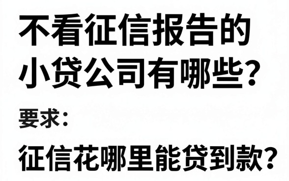 不看征信报告的小贷公司有哪些?征信花哪里能贷到款