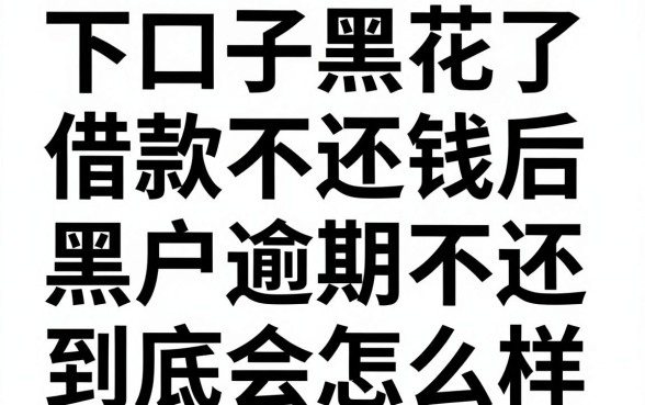 下口子黑花了借款不还钱后果严重吗?黑户逾期不还到底会怎么样