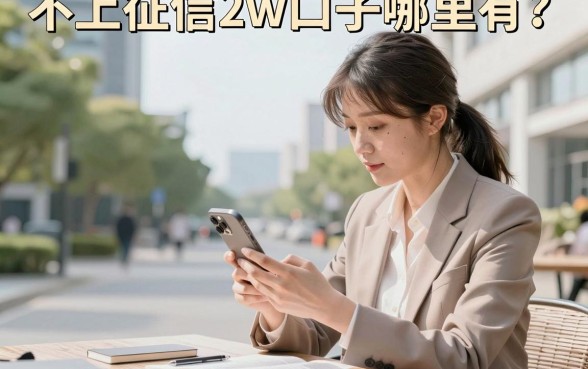 不上征信2w口子哪里有?2026年不看征信的贷款平台推荐
