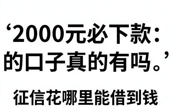 2000元必下款的口子真的有吗，征信花哪里能借到钱