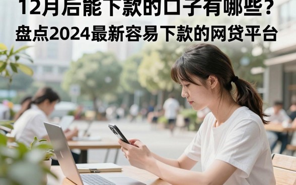 12月后能下款的口子有哪些？盘点2024最新容易下款的网贷平台