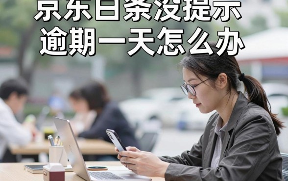 京东白条没提示逾期一天怎么办，逾期一天会有什么影响