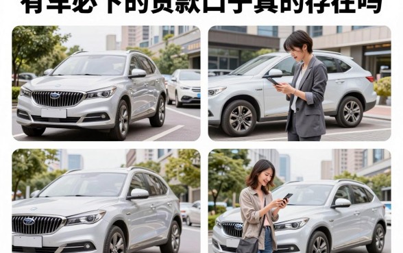 有车必下的贷款口子真的存在吗，车主容易下款的贷款平台有哪些