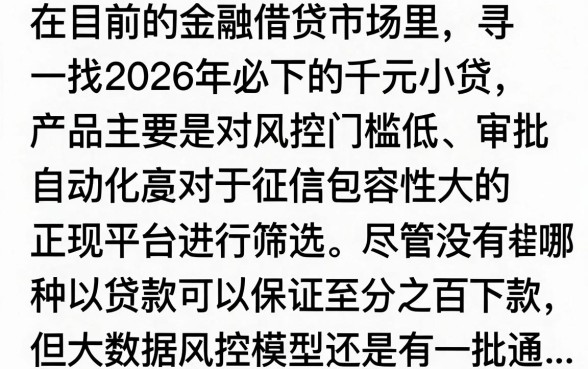 2026必下款的千元小贷有哪些？哪个平台审核快容易通过？