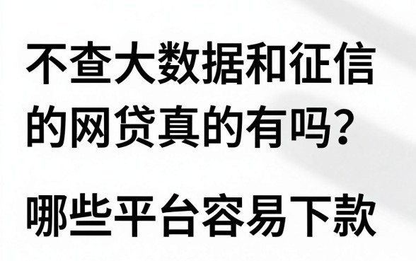 不查大数据和征信的网贷真的有吗?哪些平台容易下款?