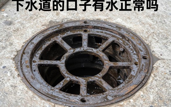 下水道的口子有水正常吗,下水道口有水是什么原因
