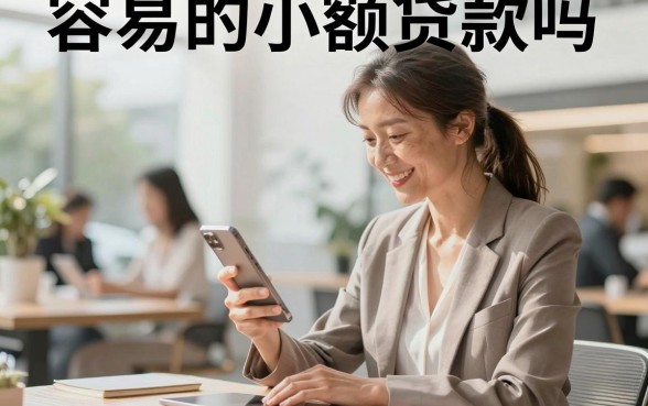 容易的小额贷款吗，小额贷款真的容易通过吗