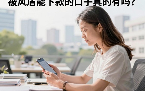 被风盾能下款的口子真的有吗?2026年还能下款的口子推荐