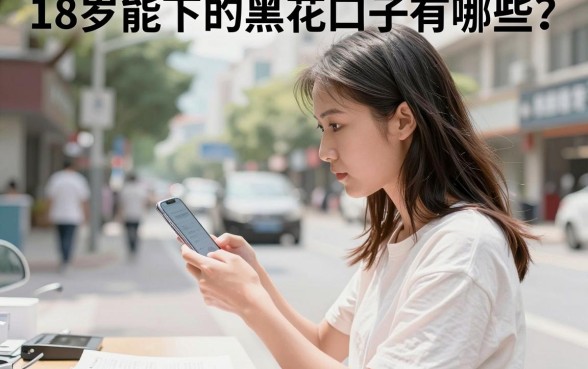 18岁能下的黑花口子有哪些？盘点靠谱下款渠道