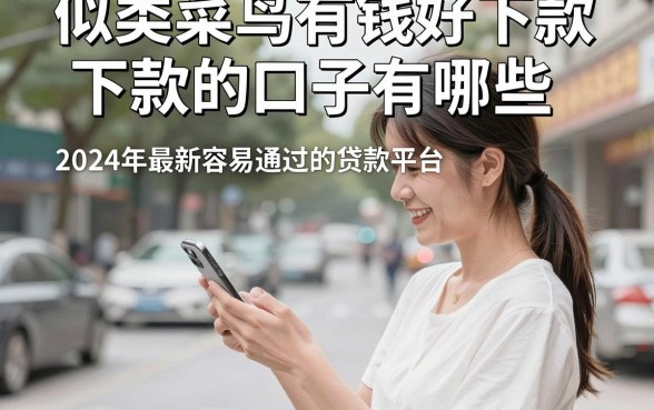 似类菜鸟有钱好下款的口子有哪些，2024年最新容易通过的贷款平台推荐