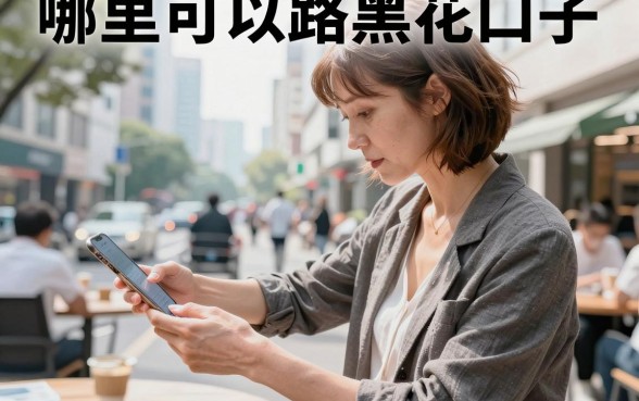 哪里可以路黑花口子,2026年正规路黑花放款平台推荐
