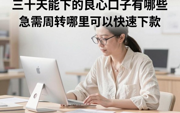 三十天能下的良心口子有哪些，急需周转哪里可以快速下款？